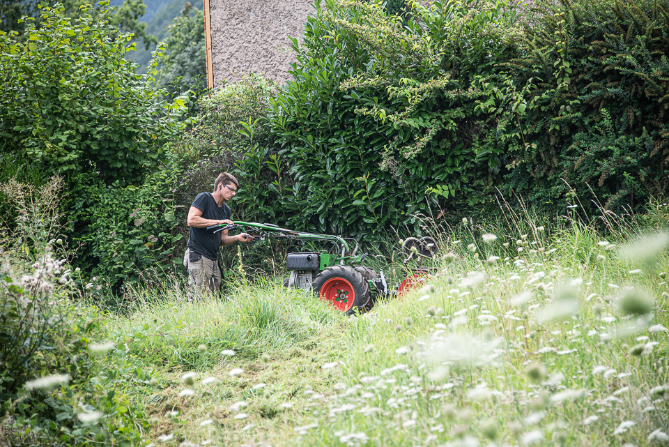 entretien de jardin à Molsheim